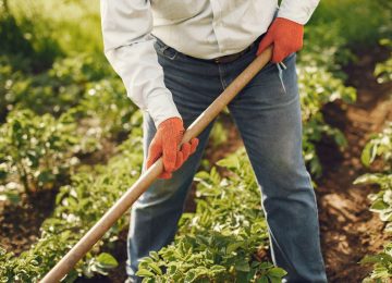 Quillota será sede de evento sobre agricultura sostenible