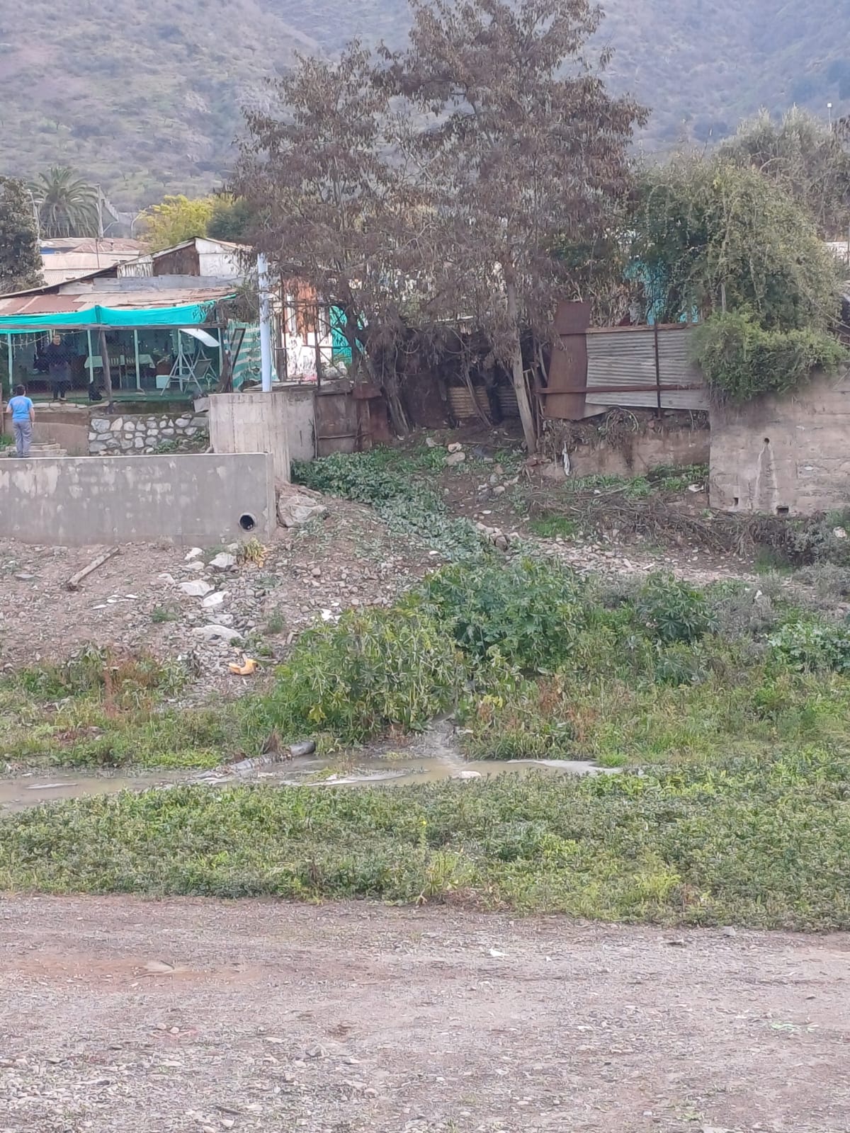 [VIDEO] Aguas servidas en el estero de El Melón provocan contaminación y hedores