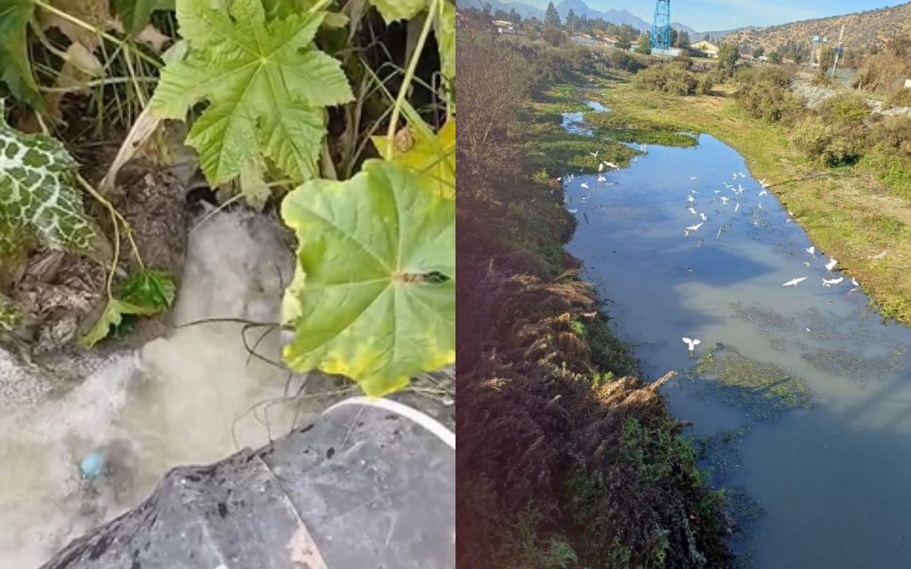 [VIDEO] Aguas servidas en el estero de El Melón provocan contaminación y hedores
