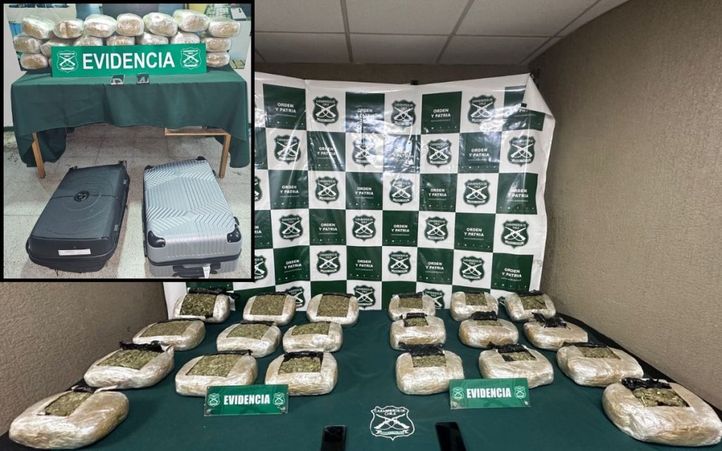 Hijuelas: Incautan casi 50 kilos de droga en controles a buses interprovinciales