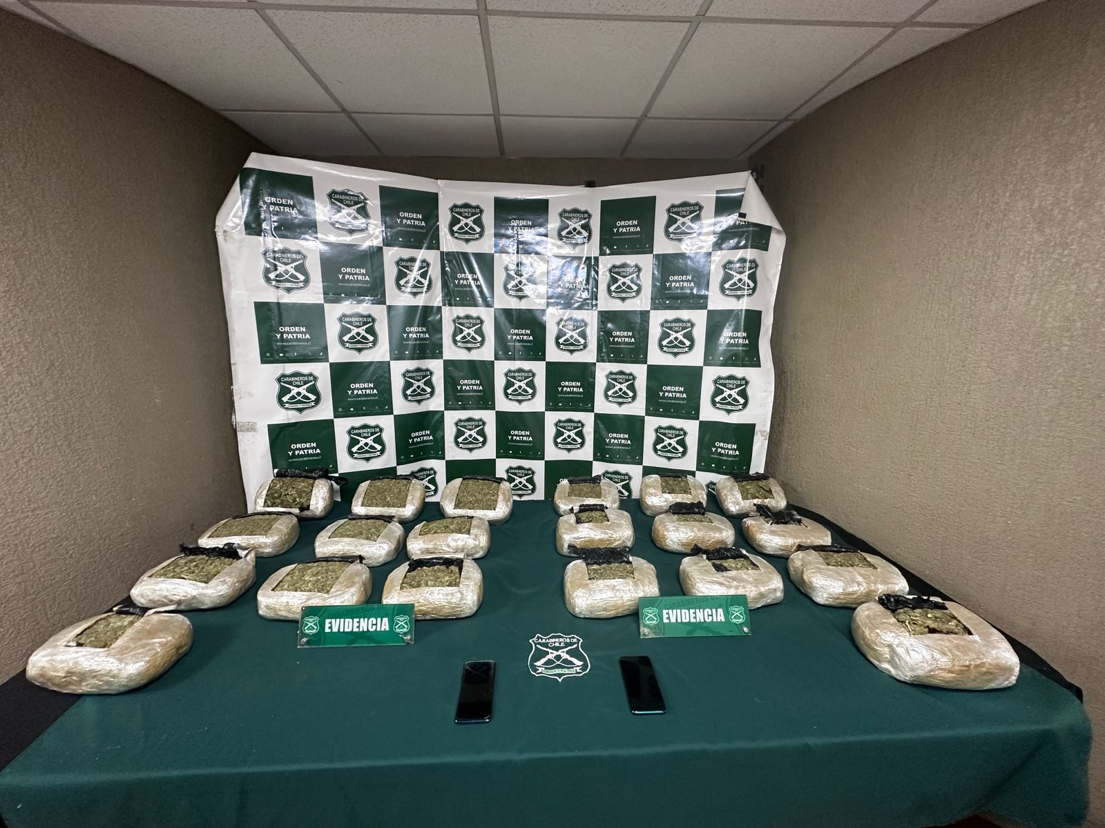 Hijuelas: Incautan casi 50 kilos de droga en controles a buses interprovinciales