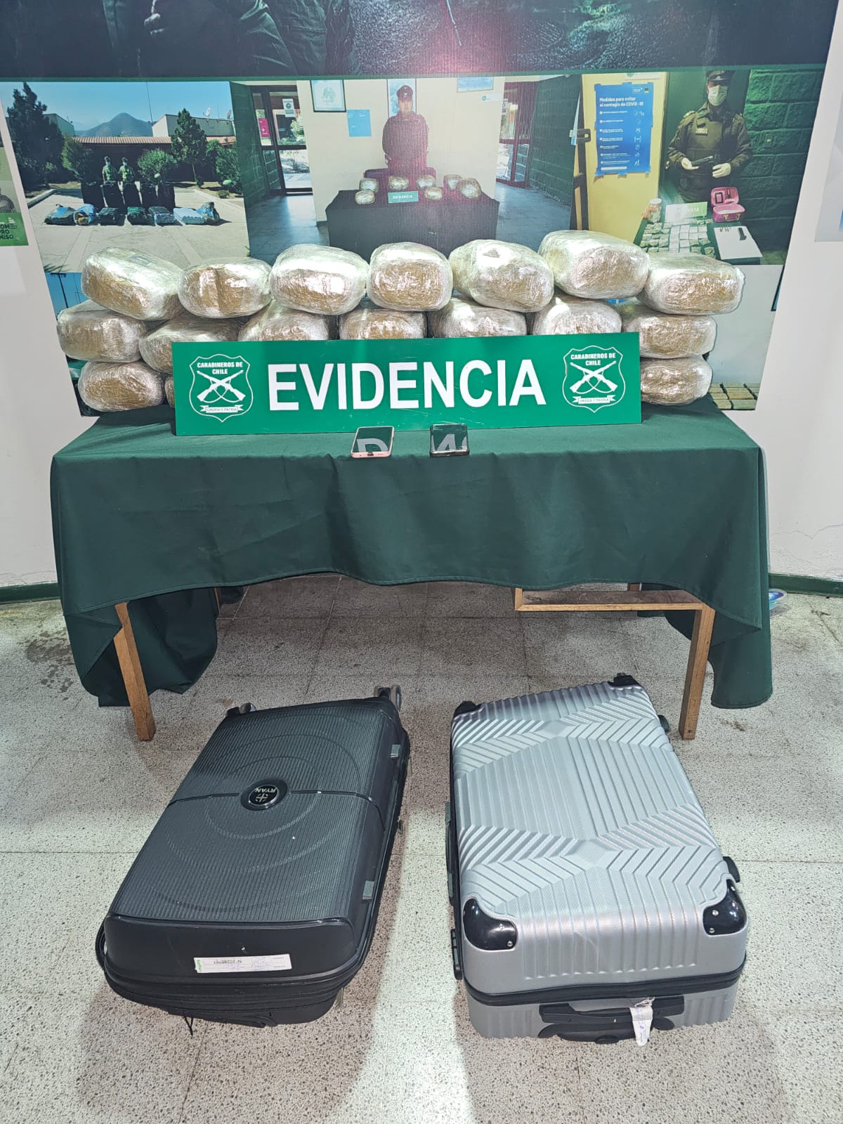 Hijuelas Incautan casi 50 kilos de droga en controles a buses interprovinciales