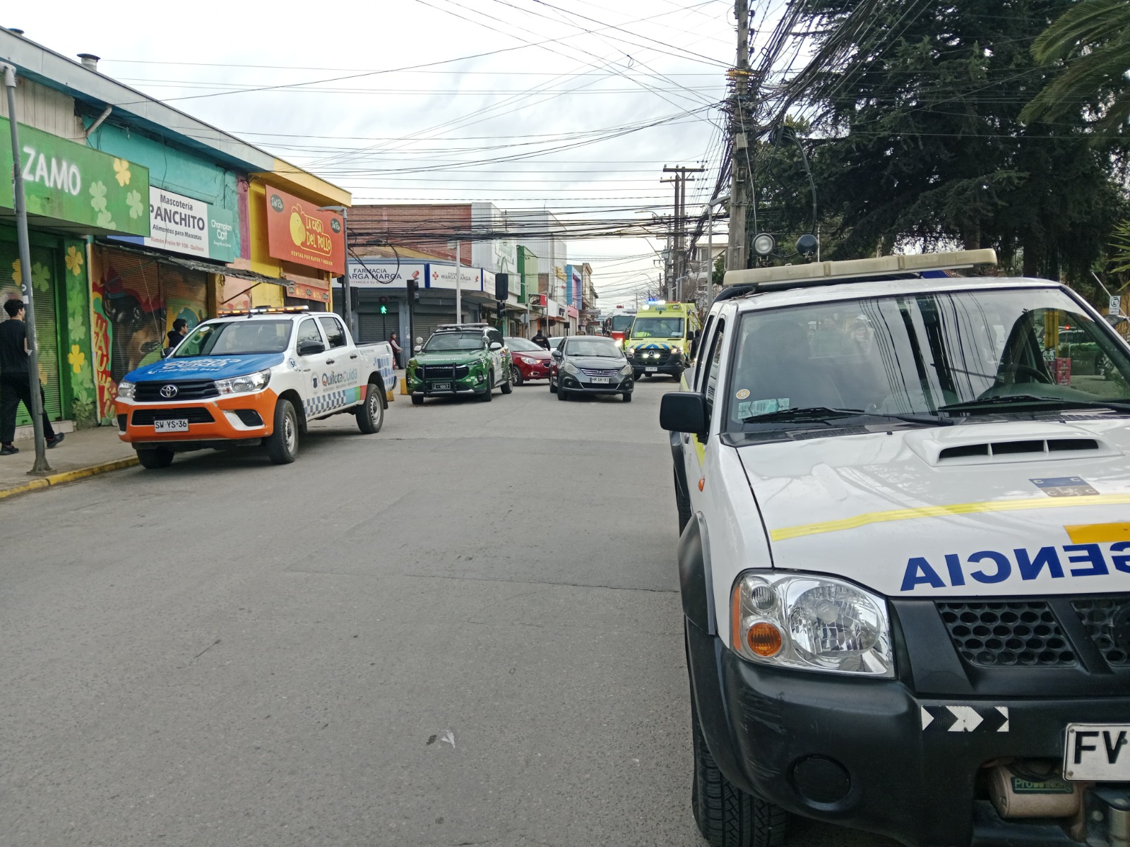 Vehículo atropelló a una mujer en el centro de Quillota