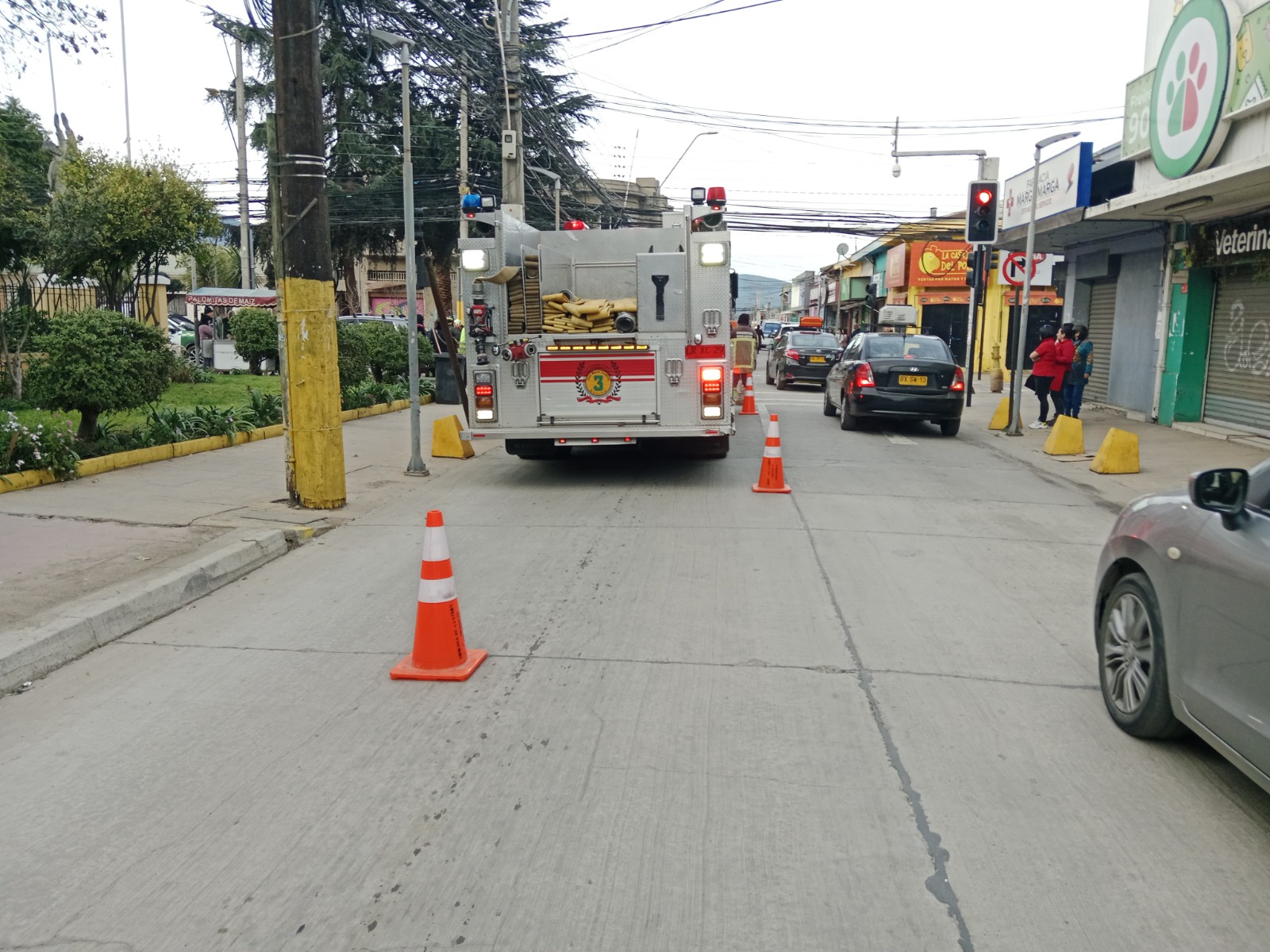 Vehículo atropelló a una mujer en el centro de Quillota