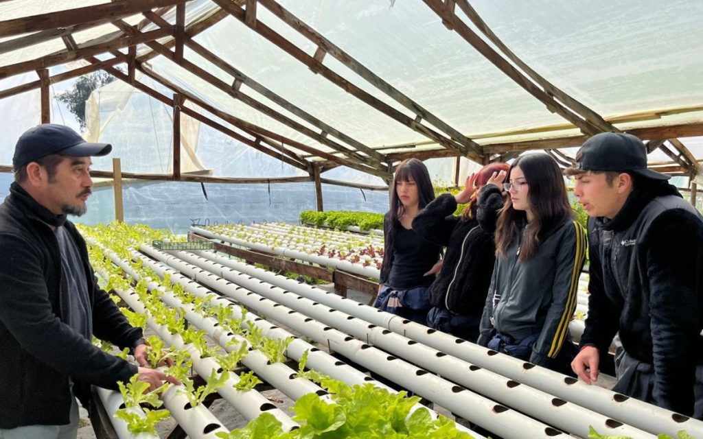 Alumnos del Liceo Agrícola de Quillota se capacitan en técnicas de hidroponía
