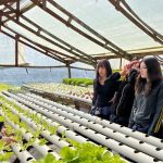 Alumnos del Liceo Agrícola de Quillota se capacitan en técnicas de hidroponía
