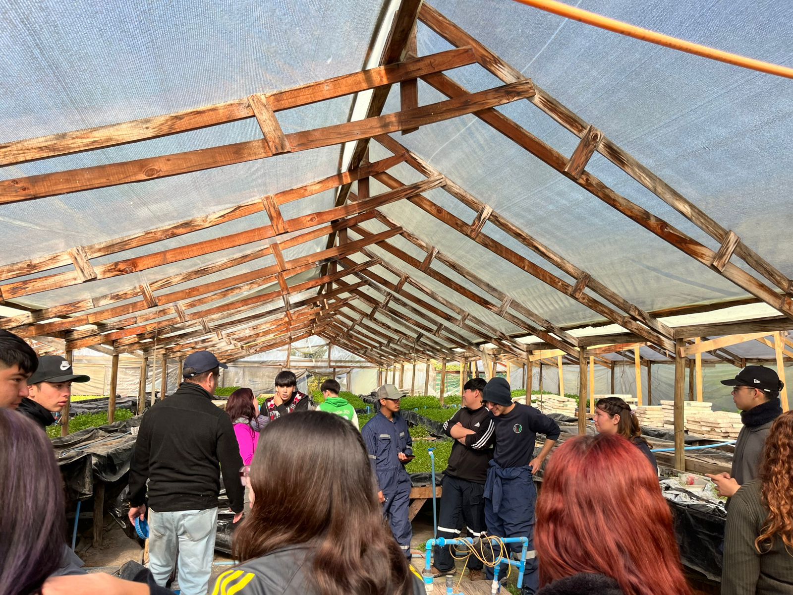 Alumnos del Liceo Agrícola de Quillota se capacitan en técnicas de hidroponía