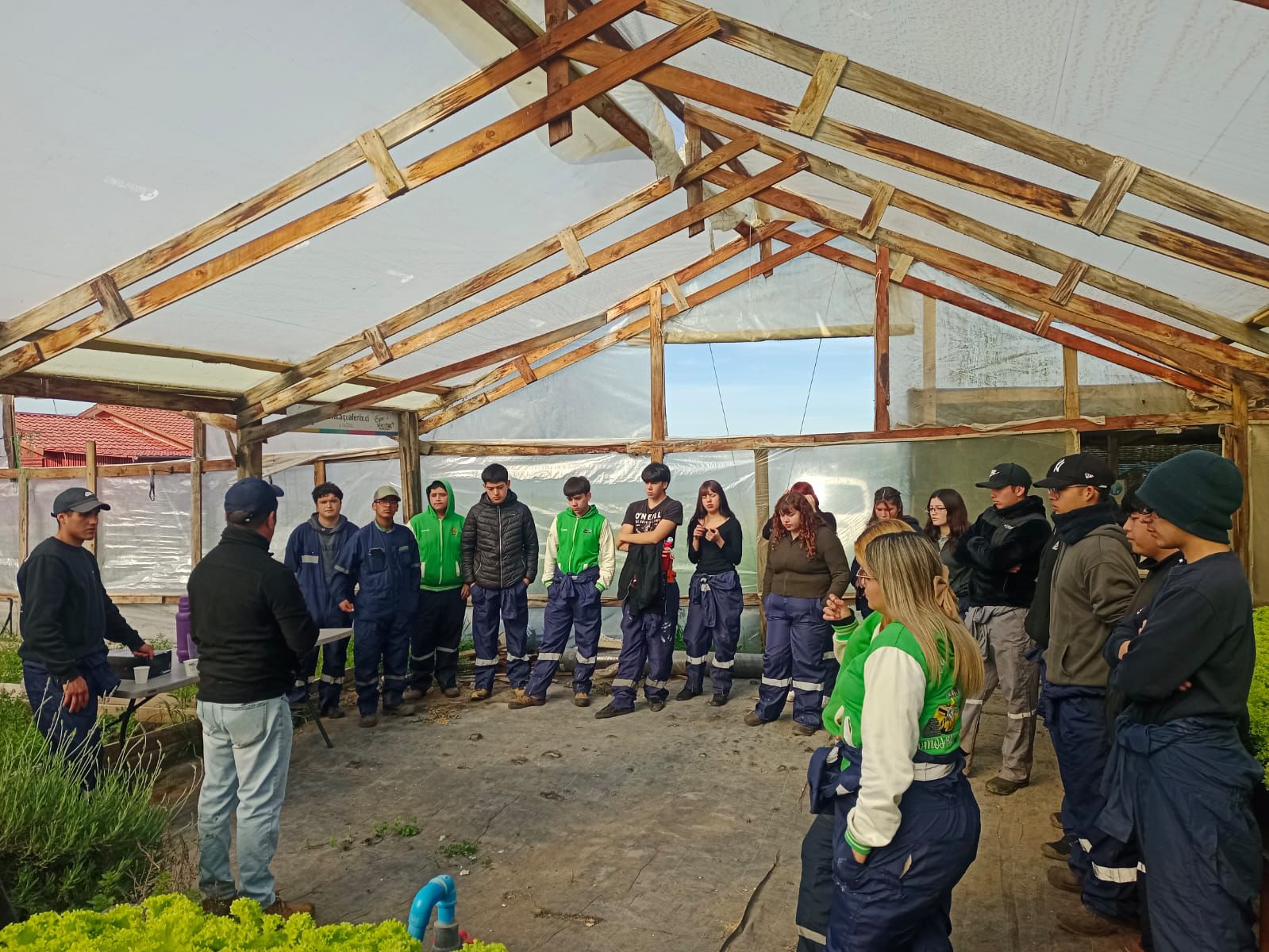 Alumnos del Liceo Agrícola de Quillota se capacitan en técnicas de hidroponía
