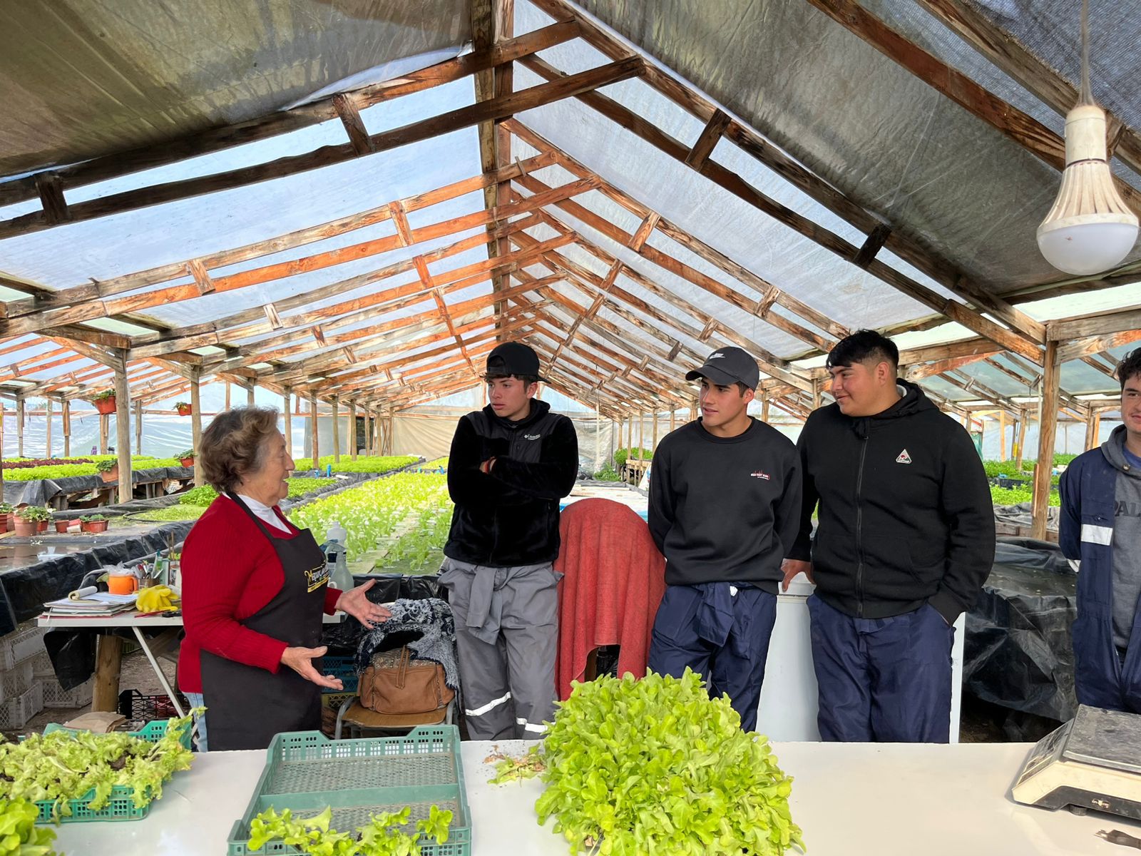 Alumnos del Liceo Agrícola de Quillota se capacitan en técnicas de hidroponía