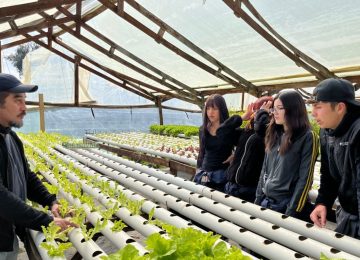 Alumnos del Liceo Agrícola de Quillota se capacitan en técnicas de hidroponía