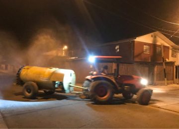 Anuncian fumigación masiva contra el distemper en Nogales