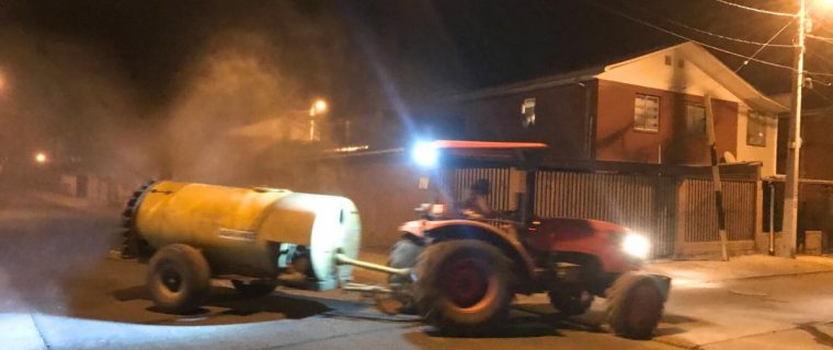 Anuncian fumigación masiva contra el distemper en Nogales