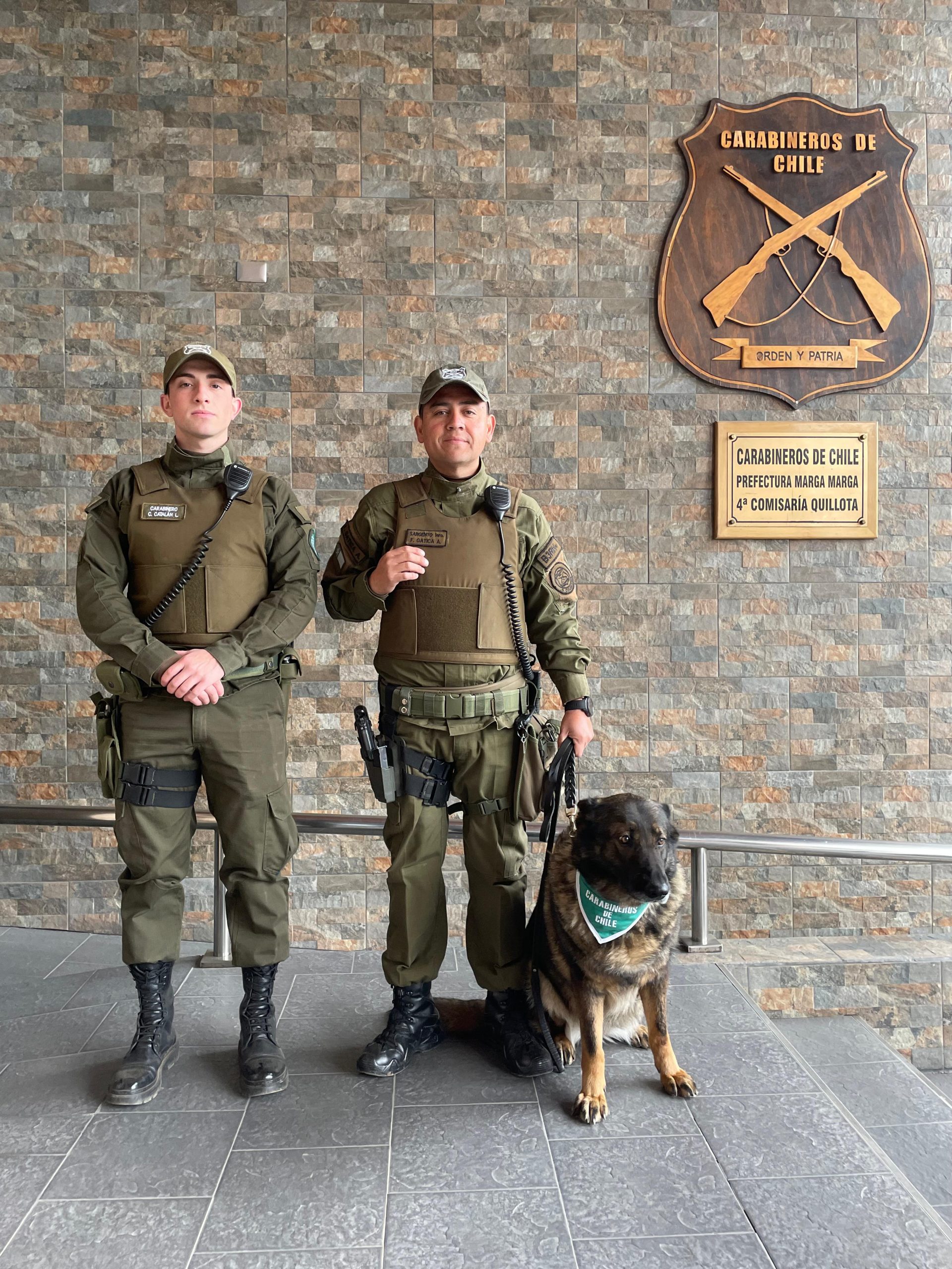 El sargento Gatica y Fiona la dupla policial que cuida las calles de Quillota