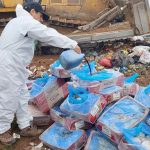 Incautan más de 1.600 kilos de carne en mal estado en Hijuelas
