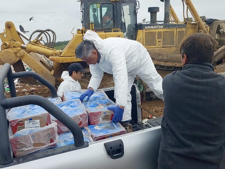 Incautan más de 1.600 kilos de carne en mal estado en Hijuelas