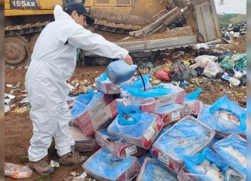 Incautan más de 1.600 kilos de carne en mal estado en Hijuelas