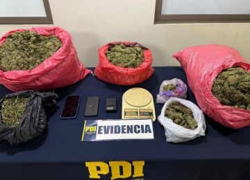 PDI desarticula clan familiar con 30 millones de pesos en droga en Cabildo