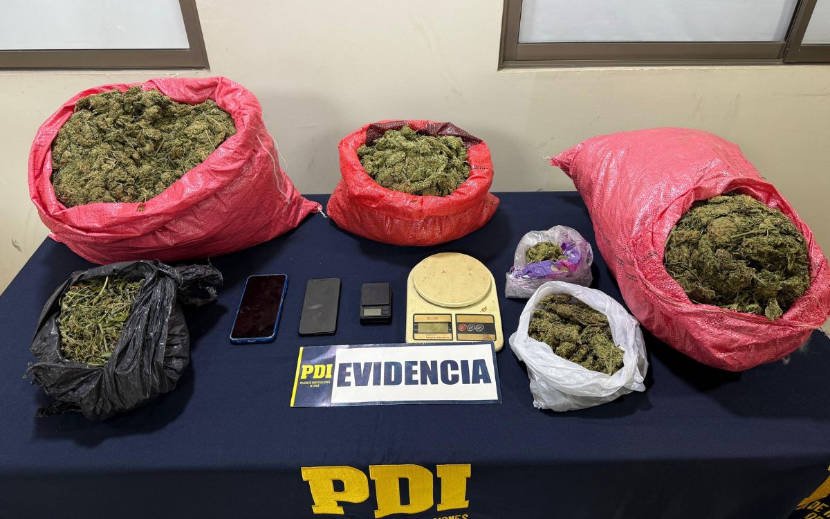 PDI desarticula clan familiar con 30 millones de pesos en droga en Cabildo