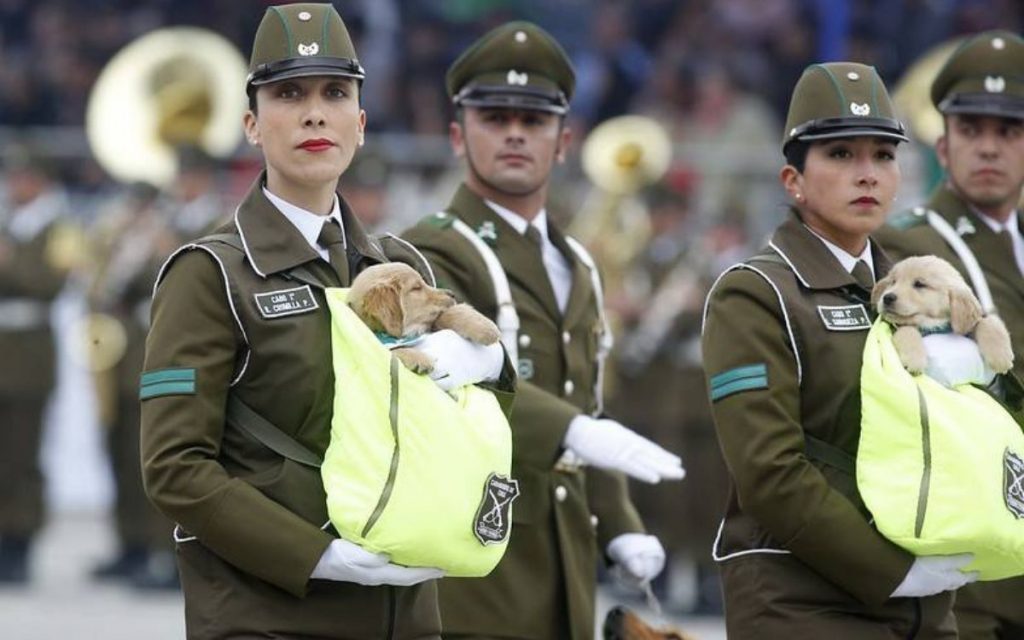Parada Militar 2025 en Chile: hora y dónde verla en vivo