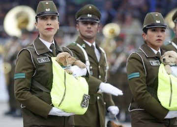 Parada Militar 2025 en Chile: hora y dónde verla en vivo