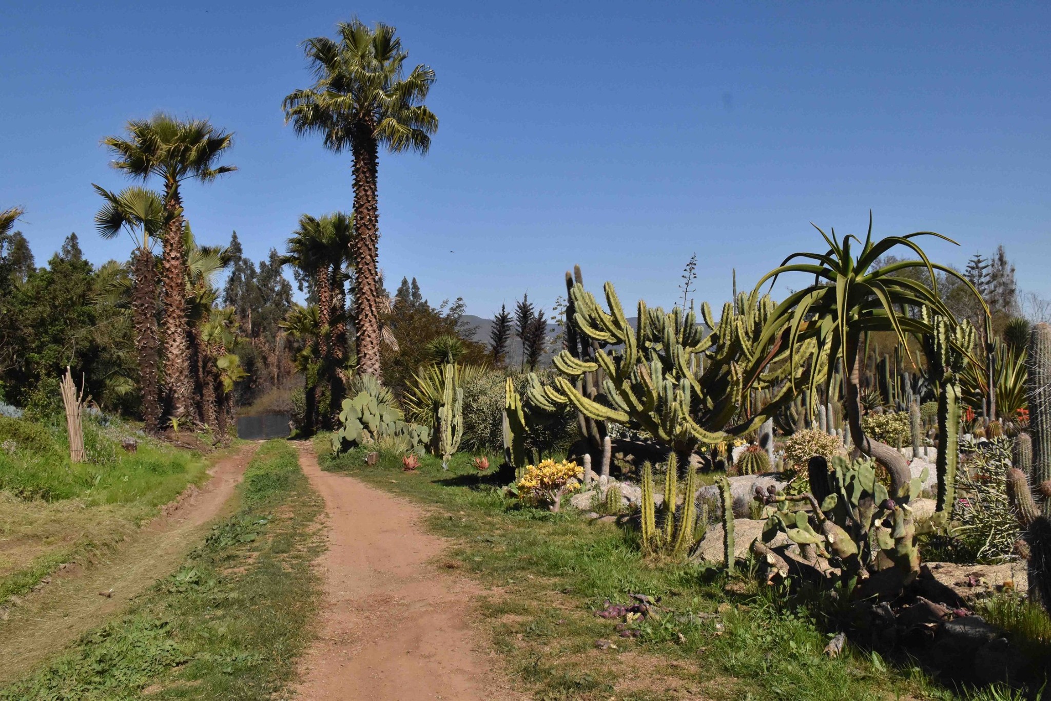 Una gran tristeza ha causado el fallecimiento de emprendedora de Quillota