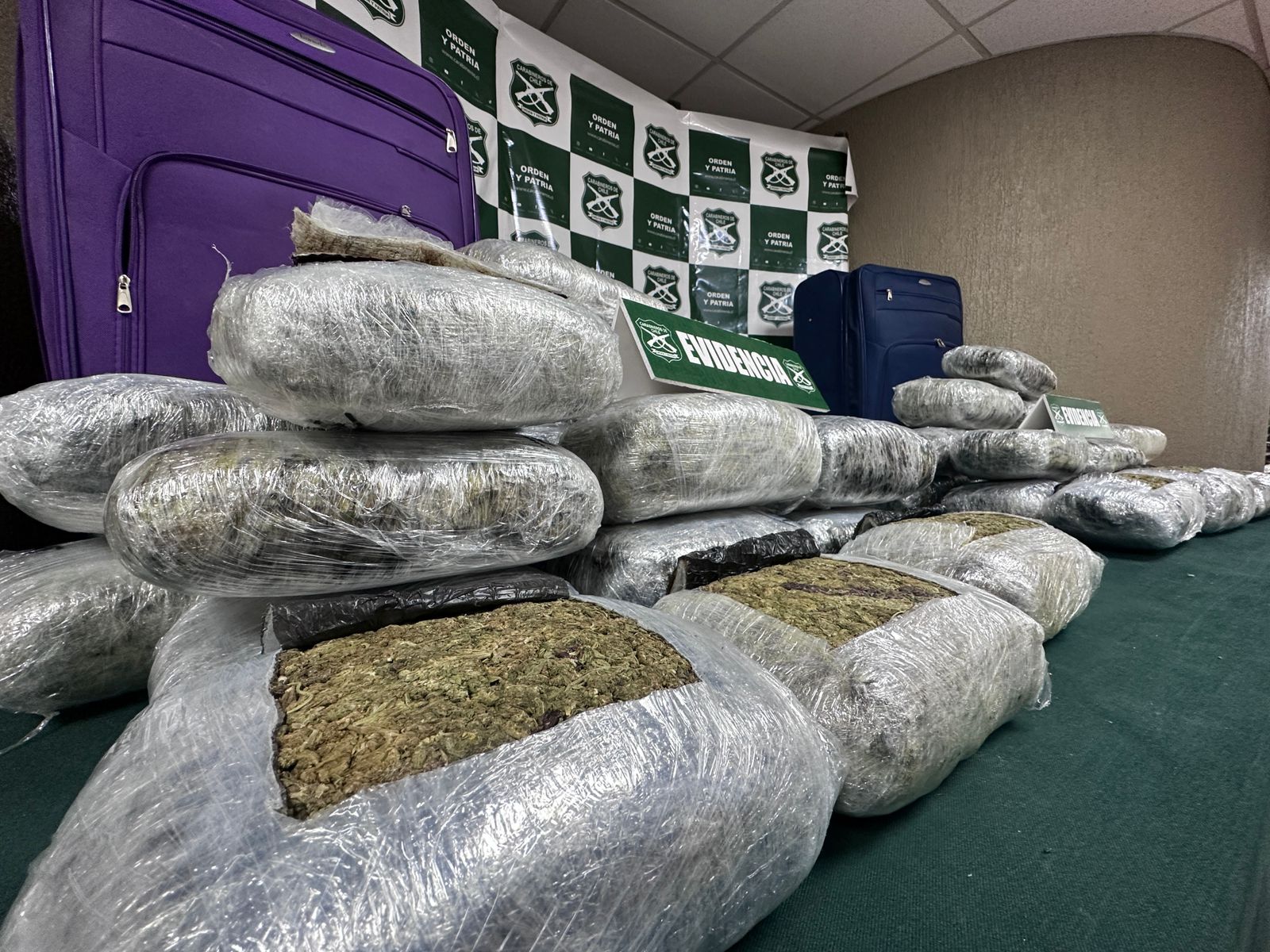 Carabineros incauta 42 kilos de marihuana en Nogales