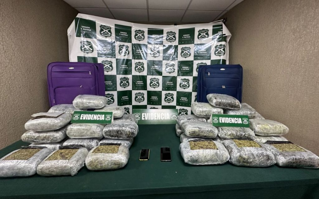 Carabineros incauta 42 kilos de marihuana en Nogales