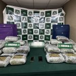 Carabineros incauta 42 kilos de marihuana en Nogales