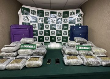 Carabineros incauta 42 kilos de marihuana en Nogales