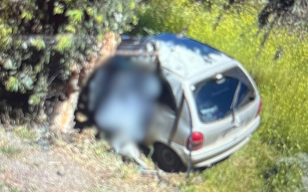 Conductor murió tras chocar contra un árbol en La Ligua