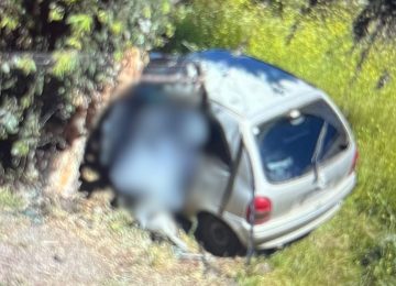 Conductor murió tras chocar contra un árbol en La Ligua