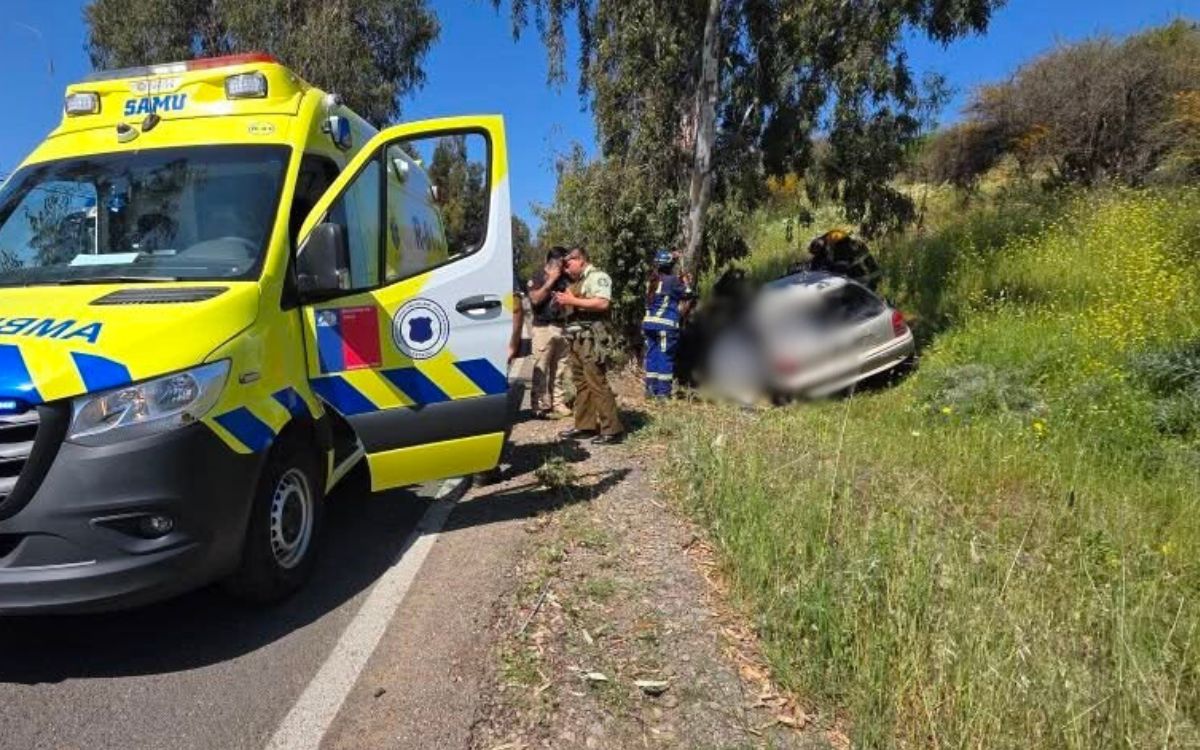 Conductor murió tras chocar contra un árbol en La Ligua