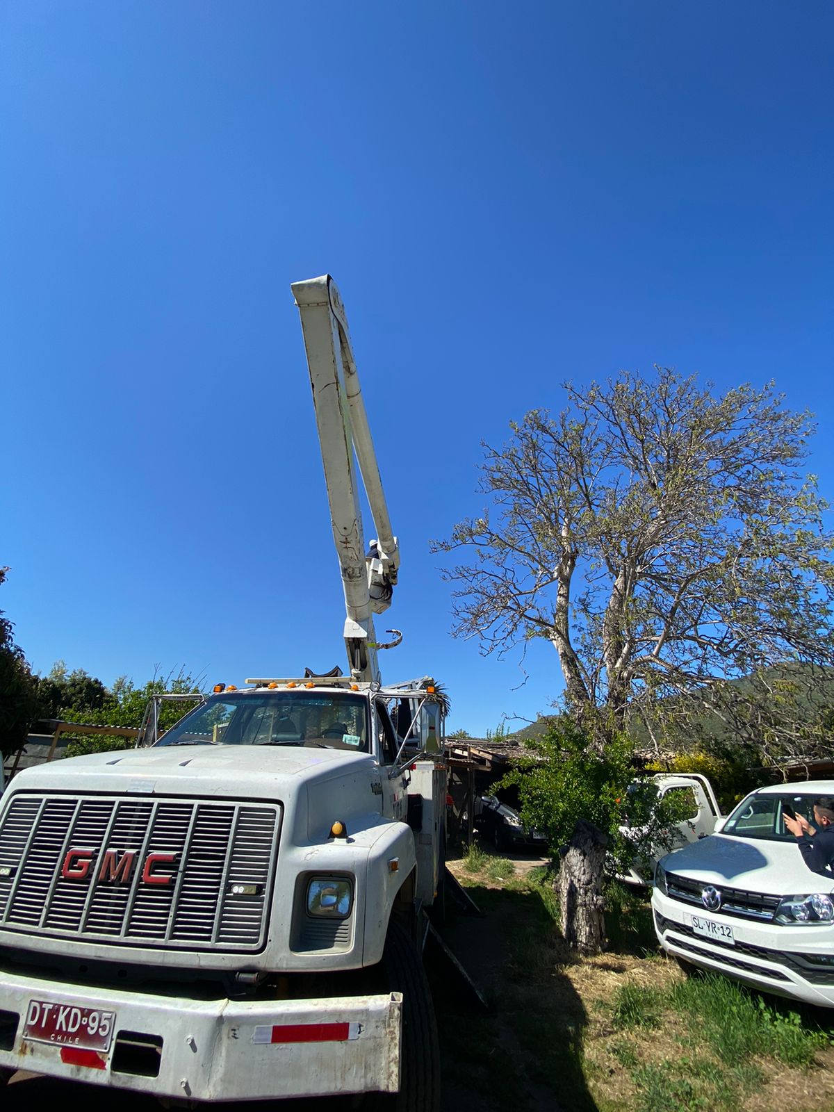En Nogales rescatan a lechuza atrapada entre hilos de volantín