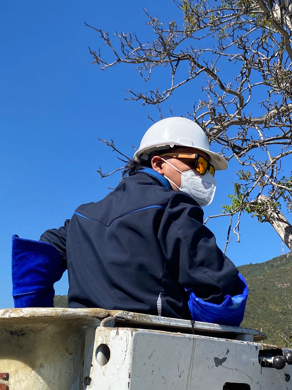 En Nogales rescatan a lechuza atrapada entre hilos de volantín