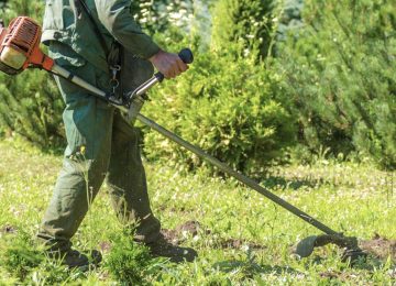 Jardinero estará 15 años y un día preso por abuso y violación de niña en Zapallar