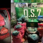 Sorprenden a conductor trasladando 98 kilos de droga en Longotoma