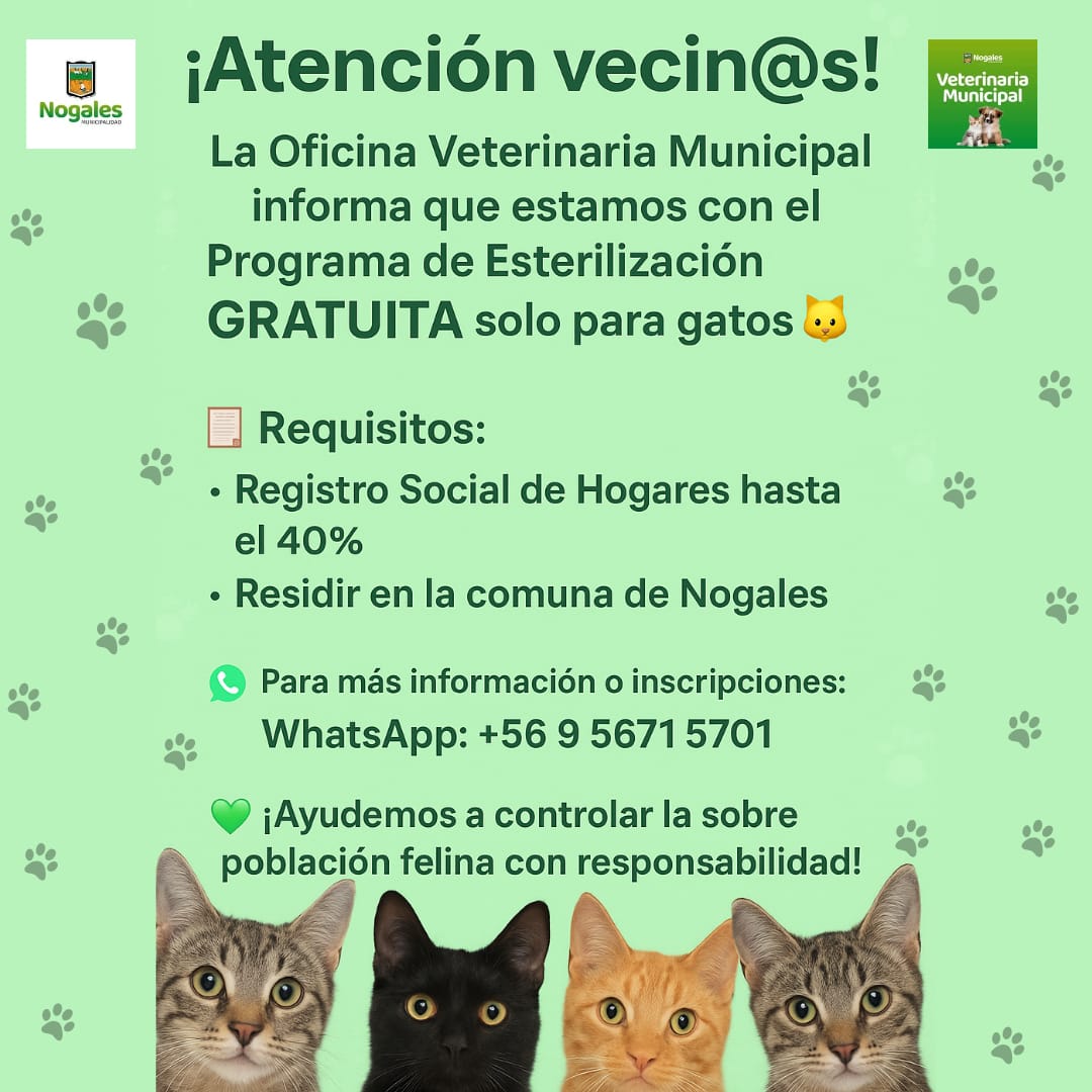 Brote de distemper canino ya está bajo control en Nogales