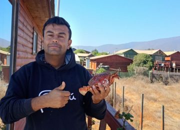 Buscan a melonino extraviado, hermano de artista circense de La Cruz