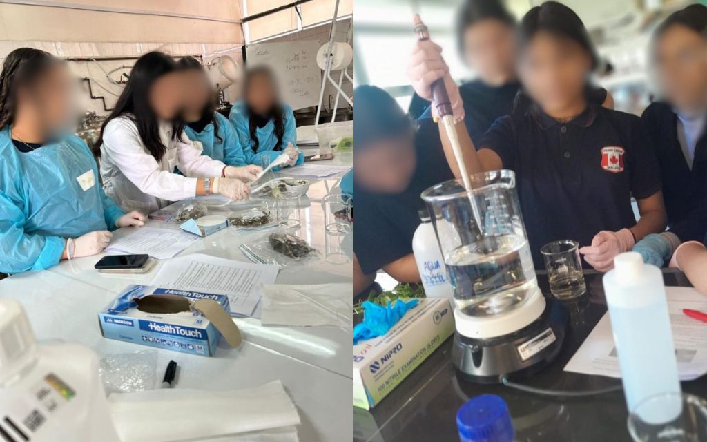 Colegio Canadá de Quillota será sede de encuentro sobre el aprendizaje científico