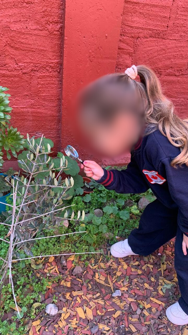 Colegio Canadá de Quillota será sede de encuentro sobre el aprendizaje científico