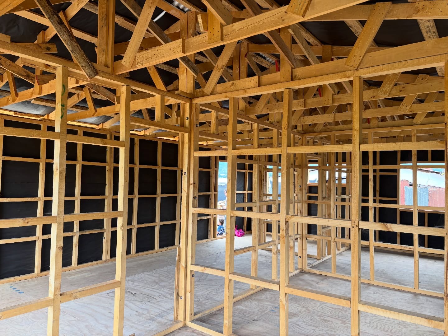 Escolares construyen vivienda digna para adulta mayor de La Cruz