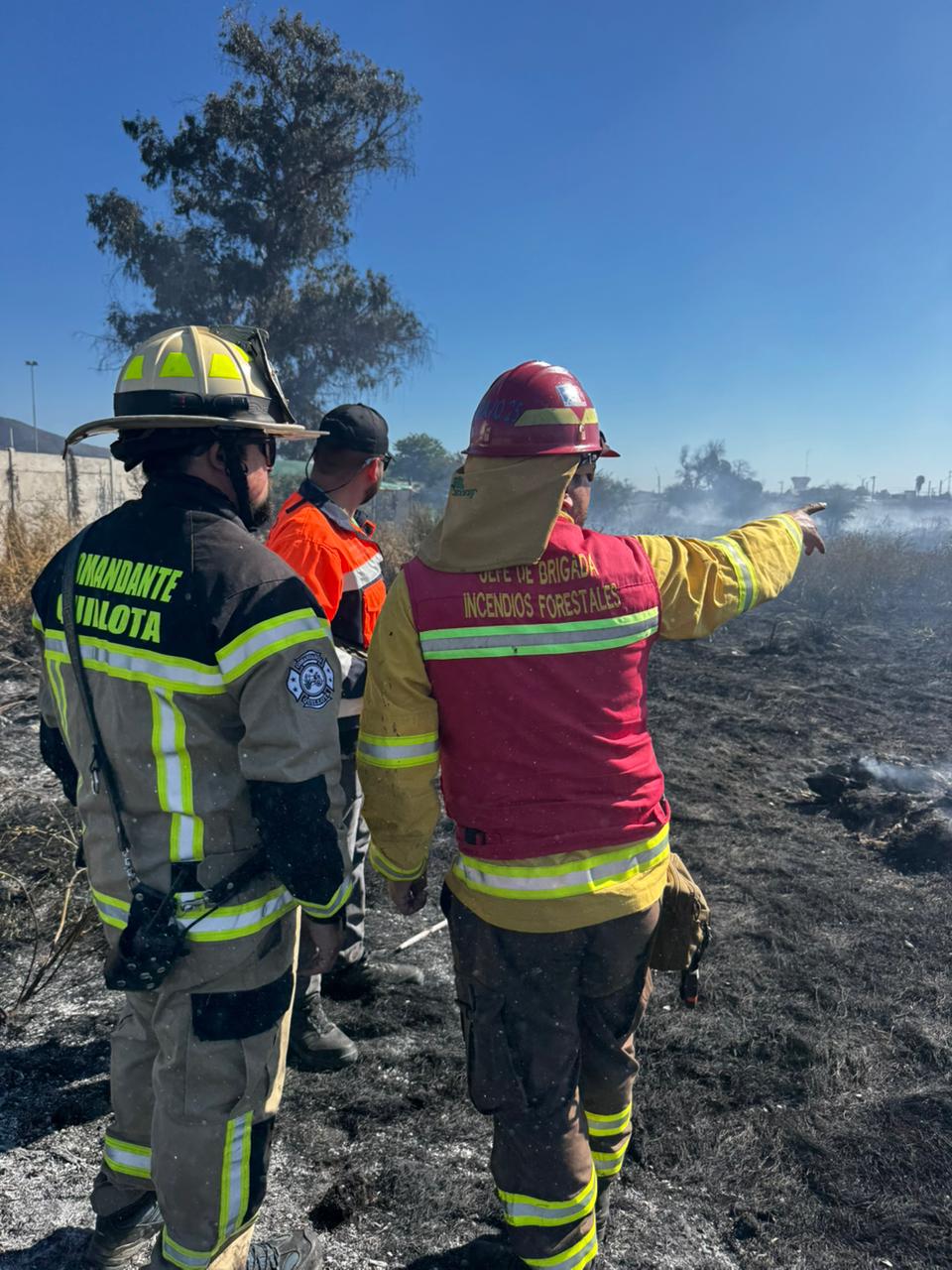 Incendio consumió 1,7 hectáreas de pastizal y basura
