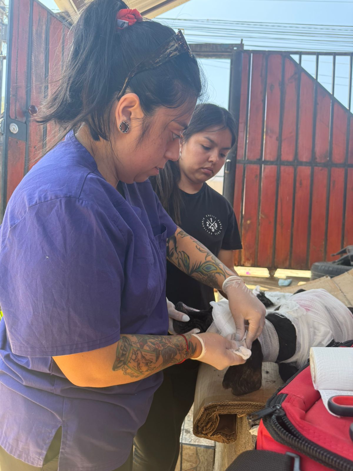 Incendio en Hijuelas afectó cinco viviendas dos resultaron totalmente destruidas