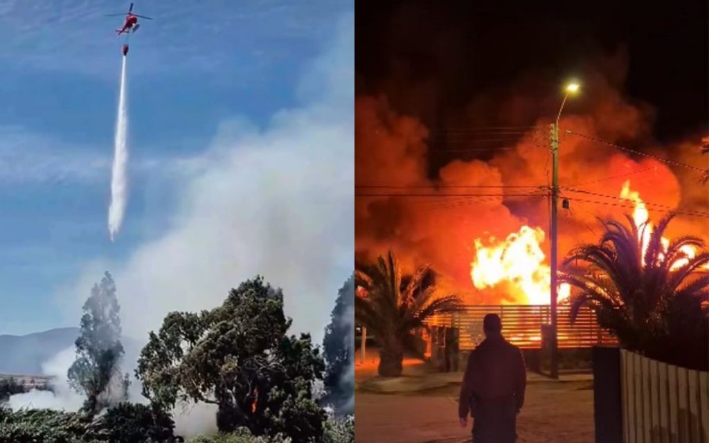 Incendios en Papudo y Zapallar dejaron diversos daños