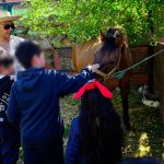 Nogales celebró su IV Feria Comunal de Ciencias, Tecnología e Innovación