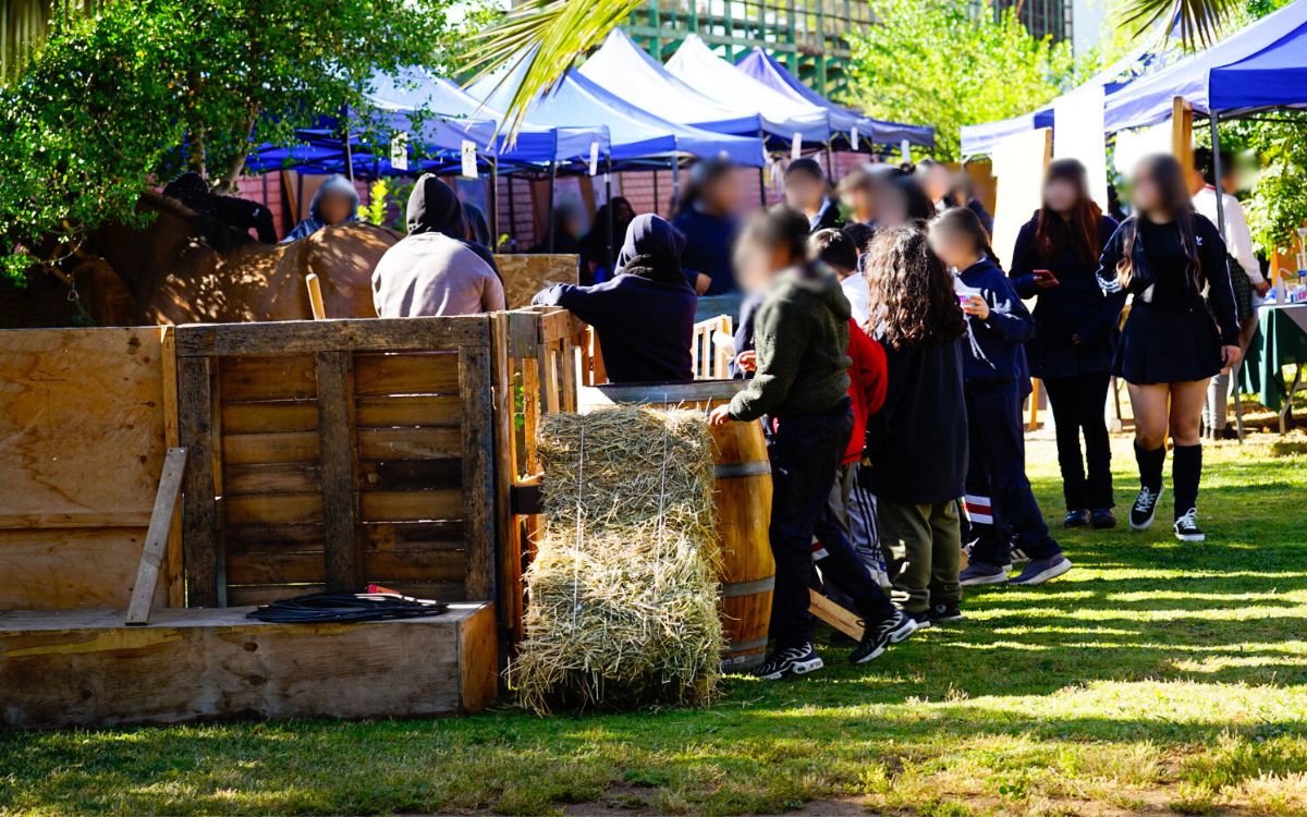 Nogales celebró su IV Feria Comunal de Ciencias, Tecnología e Innovación