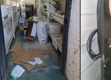 Realizaron millonario robo en la viña “Seña” de Hijuelas