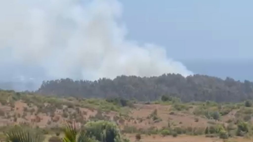 Combaten incendio forestal en el sector de la Reserva Longotoma