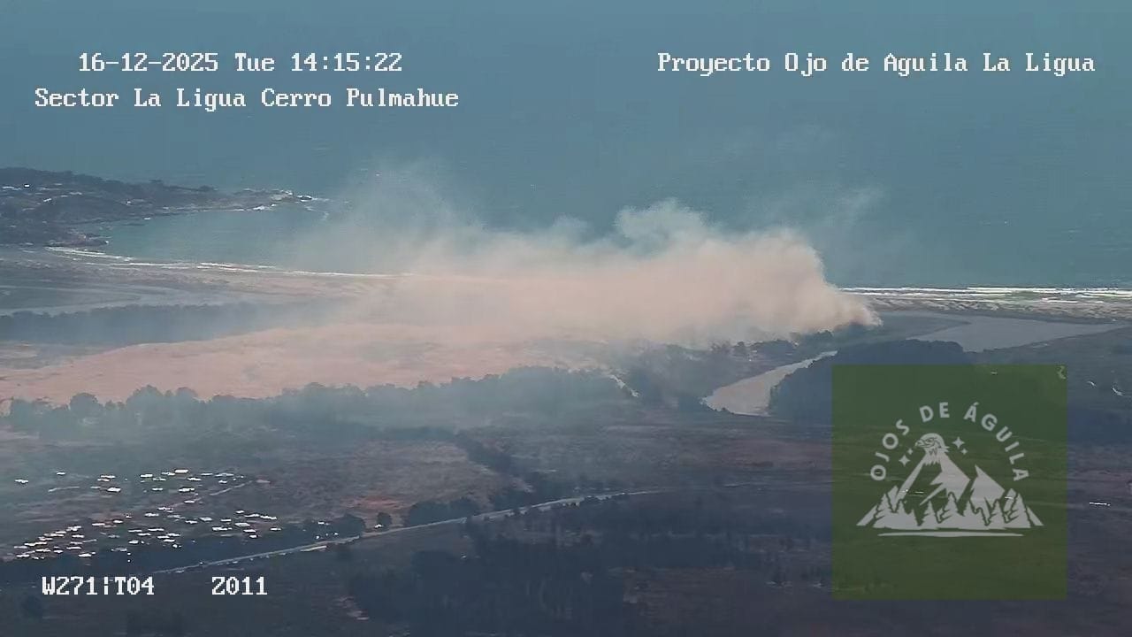 Combaten incendio forestal en el sector de la Reserva Longotoma
