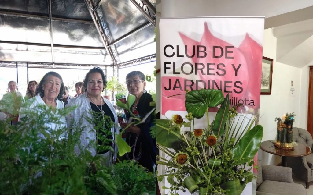 Con éxito se realizó muestra del Club de Flores y Jardines de Quillota